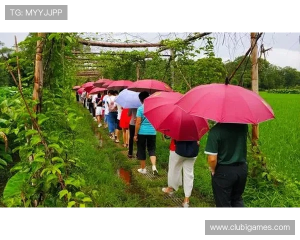 爱游戏(AIYOUXI)集团会员注册的详细步骤及注意事项，助你轻松成为官方会员